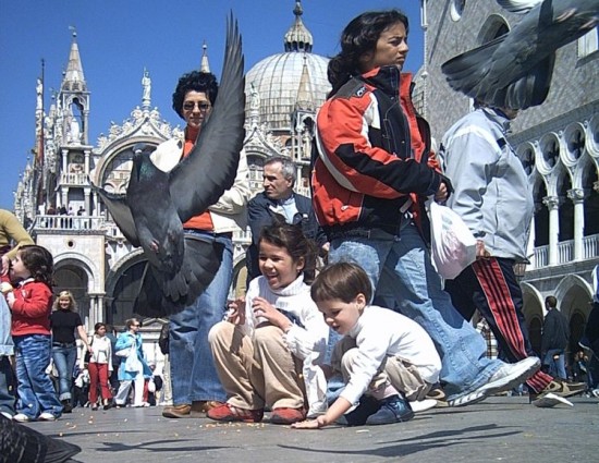 Venice 3b